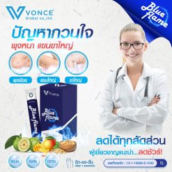 blue flame vflame บูล เฟลม วีเฟลม 11